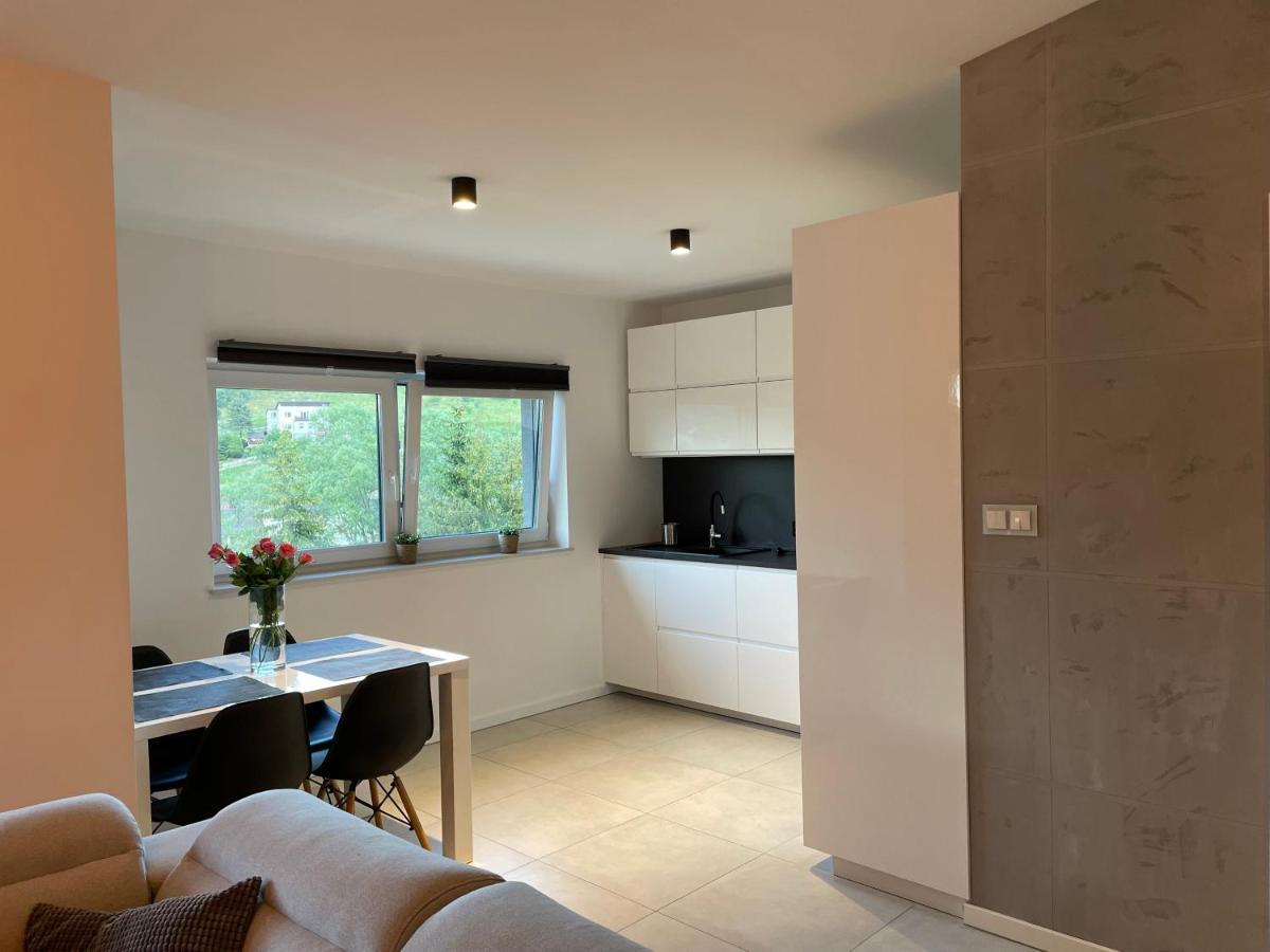 Apartament Z Klimatem II วีสวา ภายนอก รูปภาพ